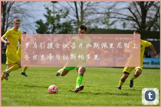 罗马引援会议召开加斯佩里尼盯上齐尔克泽与拉斯帕多里
